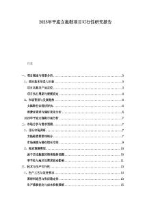 2025年平底女拖鞋項目可行性研究報告