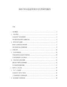 2025年壓花皮革項(xiàng)目可行性研究報(bào)告