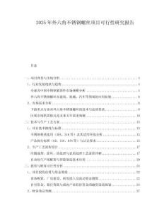 2025年外六角不銹鋼螺絲項目可行性研究報告