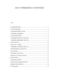2025年不銹鋼扶梯項(xiàng)目可行性研究報(bào)告