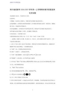 四川省成都市2024-2025学年高一上学期期末教学质量监测化学试题