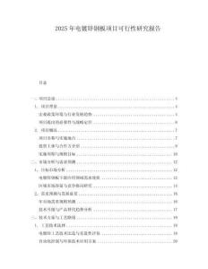 2025年電鍍鋅鋼板項(xiàng)目可行性研究報(bào)告