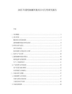 2025年透明柄螺絲批項目可行性研究報告