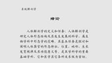 系統(tǒng)解剖學(xué)課件學(xué)習(xí)PPT教案