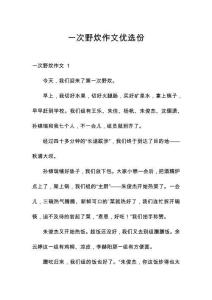 一次野炊作文優(yōu)選份