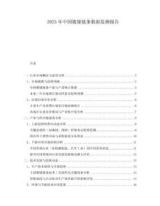 2025年中國鍍鎳鏈條數(shù)據(jù)監(jiān)測報告