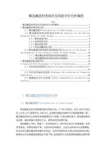 椰島集團(tuán)財(cái)務(wù)現(xiàn)狀及風(fēng)險(xiǎn)評價(jià)分析案例14000字