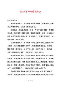 2025年如今的我作文