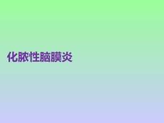 化脓性脑膜炎PPT课件