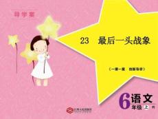 23  最后一頭戰象