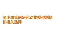 腦小血管病研究動(dòng)物模型制備和相關(guān)選擇PPT課件