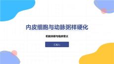 內(nèi)皮細(xì)胞與動(dòng)脈粥樣硬化