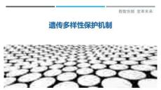 遺傳多樣性保護(hù)機(jī)制-洞察與解讀