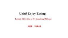 Unit5  Lesson 16 I'd Like to Try Something Different 課件 北京版四年級(jí)上冊(cè)