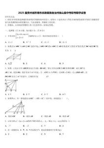 2025屆貴州省黔南布依族苗族自治州獨(dú)山縣中考聯(lián)考數(shù)學(xué)試卷含解析
