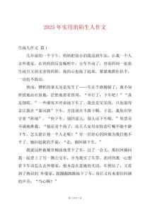 2025年實(shí)用的陌生人作文