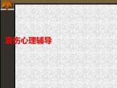 哀傷心理輔導(dǎo)PPT課件