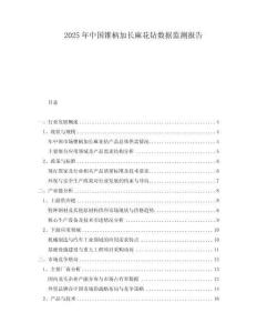 2025年中國(guó)錐柄加長(zhǎng)麻花鉆數(shù)據(jù)監(jiān)測(cè)報(bào)告