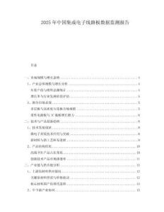 2025年中國(guó)集成電子線路板數(shù)據(jù)監(jiān)測(cè)報(bào)告
