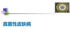 真菌性皮膚病PPT課件