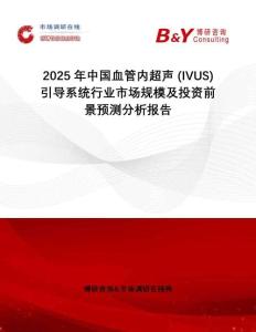 2025年中國血管內(nèi)超聲 (IVUS) 引導(dǎo)系統(tǒng)行業(yè)市場規(guī)模及投資前景預(yù)測分析報告