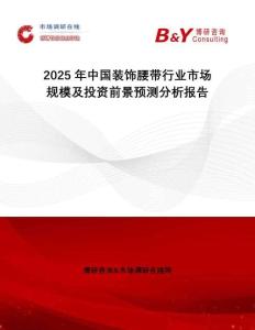 2025年中國裝飾腰帶行業市場規模及投資前景預測分析報告
