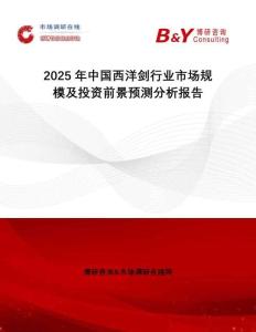 2025年中國西洋劍行業市場規模及投資前景預測分析報告