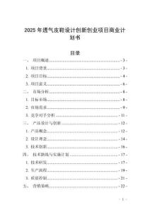 2025年透氣皮鞋設(shè)計創(chuàng)新創(chuàng)業(yè)項目商業(yè)計劃書