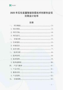 2025年石化裝置智能防腐技術創新創業項目商業計劃書