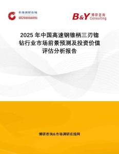 2025年中國(guó)高速鋼錐柄三刃锪鉆行業(yè)市場(chǎng)前景預(yù)測(cè)及投資價(jià)值評(píng)估分析報(bào)告