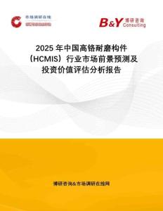 2025年中國高鉻耐磨構(gòu)件（HCMIS）行業(yè)市場前景預(yù)測及投資價值評估分析報告