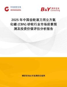 2025年中國齒輪滾刀用立方氮化硼 (CBN) 砂輪行業(yè)市場前景預(yù)測及投資價(jià)值評(píng)估分析報(bào)告