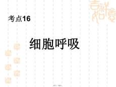 細(xì)胞呼吸(共24張PPT)