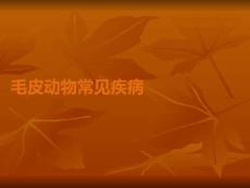 毛皮動(dòng)物常見疾病PPT課件
