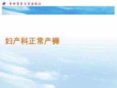 婦產(chǎn)科正常產(chǎn)褥PPT課件