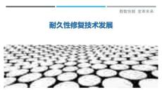 耐久性修復技術(shù)發(fā)展-洞察與解讀