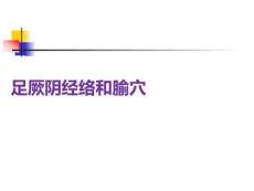 足厥陰經絡和腧穴PPT課件