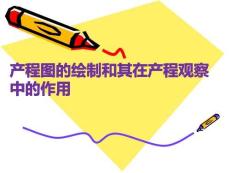 產(chǎn)程圖的繪制和其在產(chǎn)程觀察中的作用PPT課件