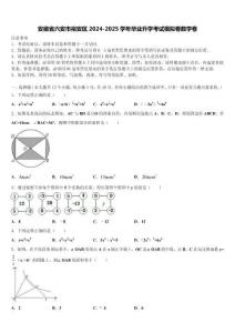 安徽省六安市裕安區(qū)2024-2025學(xué)年畢業(yè)升學(xué)考試模擬卷數(shù)學(xué)卷含解析