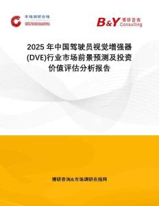 2025年中國駕駛員視覺增強器(DVE)行業(yè)市場前景預(yù)測及投資價值評估分析報告