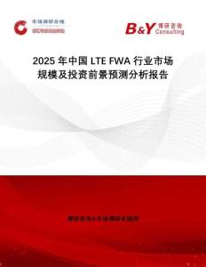 2025年中國LTE FWA行業(yè)市場規(guī)模及投資前景預(yù)測分析報告