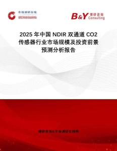 2025年中國NDIR雙通道CO2傳感器行業(yè)市場(chǎng)規(guī)模及投資前景預(yù)測(cè)分析報(bào)告