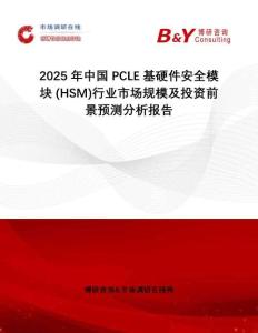 2025年中國PCLE基硬件安全模塊 (HSM)行業(yè)市場規(guī)模及投資前景預(yù)測分析報告
