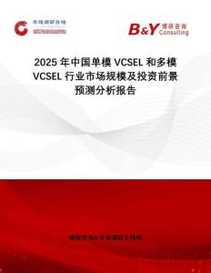 2025年中國單模VCSEL和多模VCSEL行業(yè)市場規(guī)模及投資前景預測分析報告
