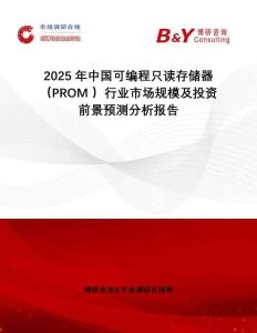 2025年中國可編程只讀存儲器（PROM ）行業(yè)市場規(guī)模及投資前景預測分析報告