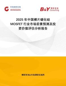 2025年中國裸片碳化硅MOSFET行業(yè)市場前景預(yù)測及投資價值評估分析報告
