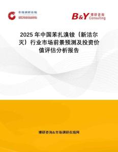 2025年中國苯扎溴銨（新潔爾滅）行業(yè)市場前景預測及投資價值評估分析報告