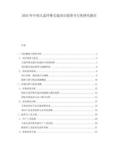 2025年中國(guó)人造纖維毛毯項(xiàng)目投資可行性研究報(bào)告