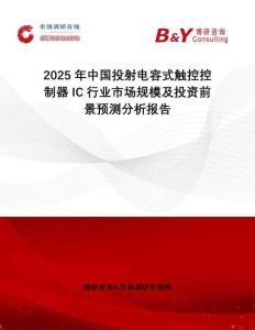 2025年中國投射電容式觸控控制器IC行業(yè)市場規(guī)模及投資前景預(yù)測分析報告