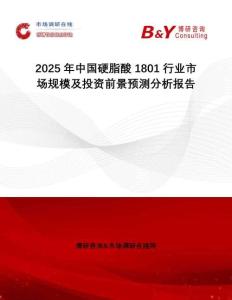 2025年中國硬脂酸1801行業(yè)市場規(guī)模及投資前景預測分析報告